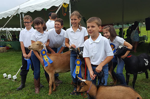 Kids with Goats and Ribbons