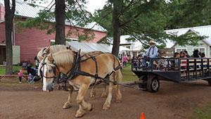 Horse drawn wagon