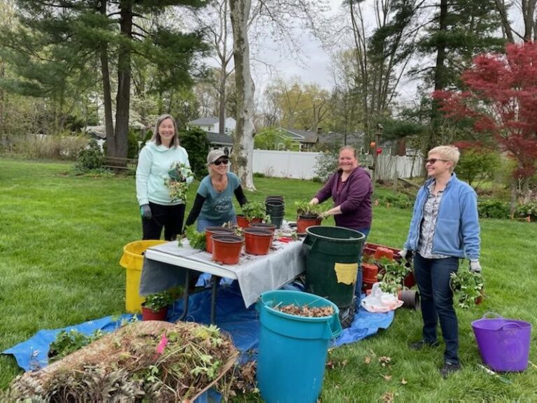 Rutgers Master Gardeners of Mercer County hold Plant Sale Rutgers