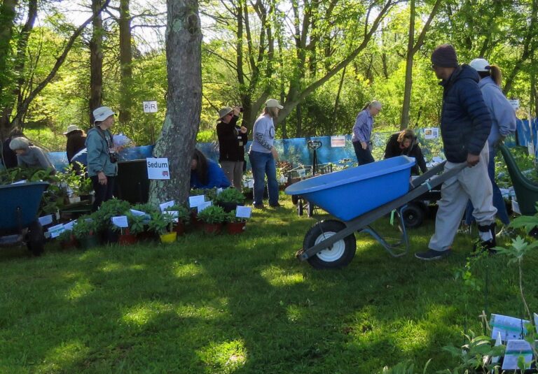 Rutgers Master Gardeners Share Love of Plants with the Public Rutgers